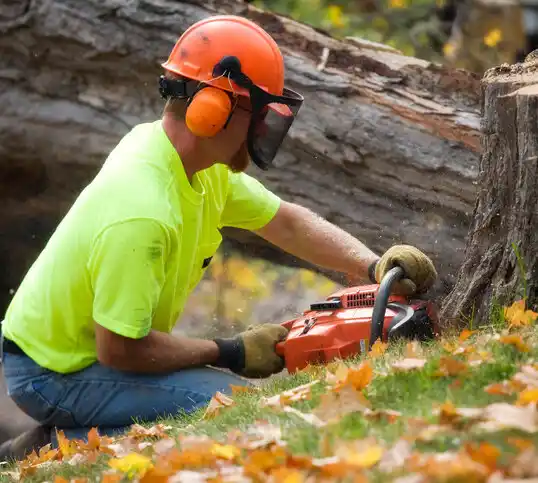 tree services Merriam Woods